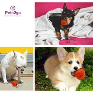 Indestructible Natural Rubber Dura Play Dog Ball