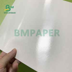 230gsm+15gsm Durability PE Coated Cup Stock Paper For Soup Bowl 560mm X 700mm
