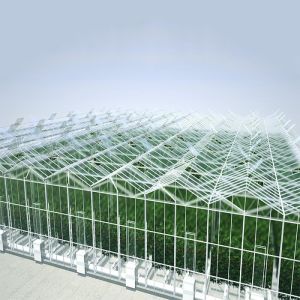 Roof Mounted Greenhouse Solar System For Farmland