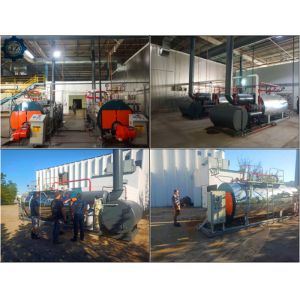 1t 2t/H Natural Gas Fired Packaged Steam Boiler For Pharmaceutical Industry