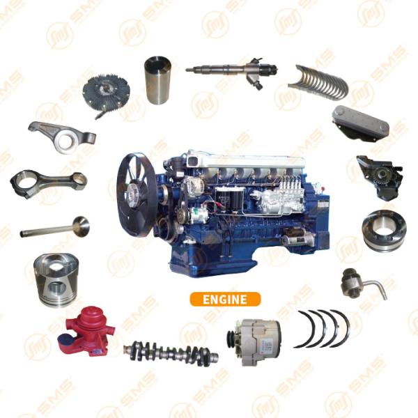 OEM SHACMAN Engine Parts Weichai WD615 WD618 WP10 WP12