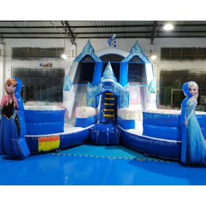 China Frozen Double Jumping Bouncer Inflatable Water Slide With Pool on sale