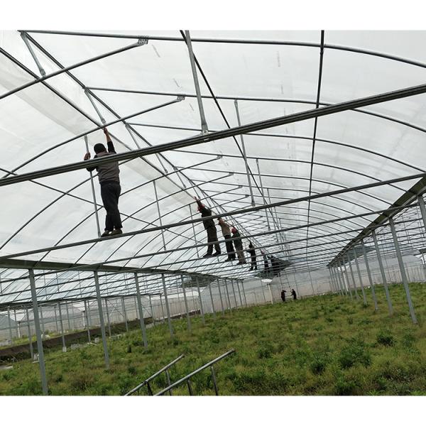 2-5m Shoulder Height High Tunnel Sawtooth Greenhouse for Commercial Plant Cultivation