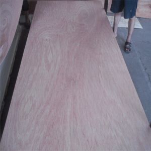 First Class WBP Phenolic 1220×2440mm Bintangor Plywood