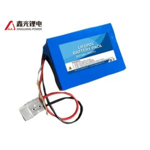 Electric Robot LifePO4 24v 15Ah BMS Power Battery Packs