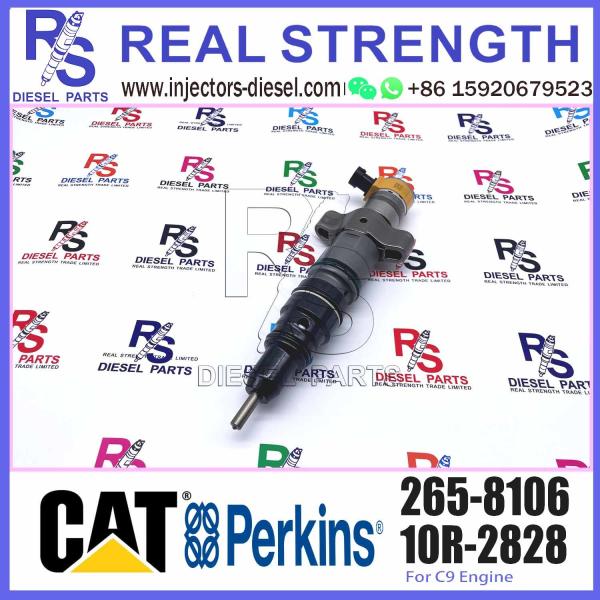 225-0117 236-0957 238-8092 240-8063 ELIC Fuel Diesel Injector 242-0857 245-3516 254-4330 254-4339 254-4340 258-8745