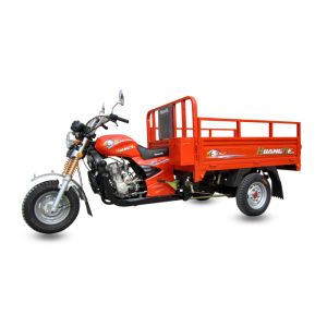 Red Open Body 3 Wheel Cargo Motorcycle , Adult Cargo Tricycle 150ZH-H