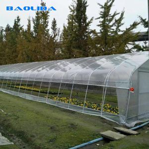Tunnel Single Span Greenhouse For Vegetables Growing Agricultural Farming