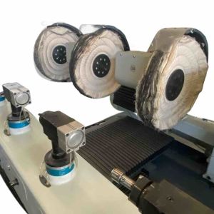Two Stations Automatic Polishing Machine In Metal Surfacement Polishing