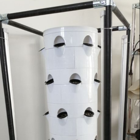 Vertical Hydroponic Cultivation System For Vegetables And Strawberries With