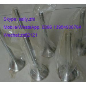 exhaust valve, 12159608 for weichai TD226B engine , weichai engine parts for
