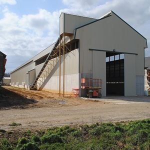 Automated Ventilation Steel Frame Chicken Coop Management Poultry House