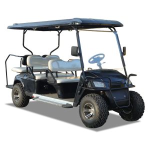 New Design 30mph Low Speed Vehicle Golf Cart 6 Passenger OEM Free Shipping Hot