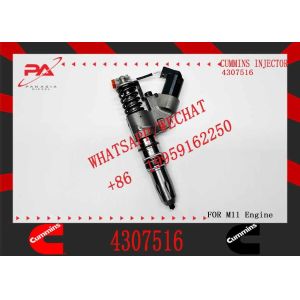 Construction Machinery Part N14 QSM ISM QSM11 ISM11 M11 Diesel Engine Parts 4307516 Diesel Fuel Injector