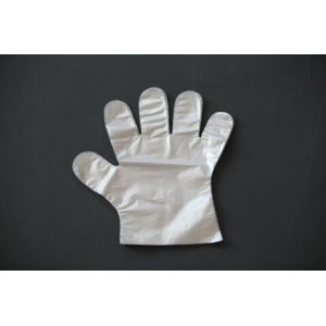 Oil Proof Transparent Disposable PE Gloves , Plastic Gloves For Food Handling