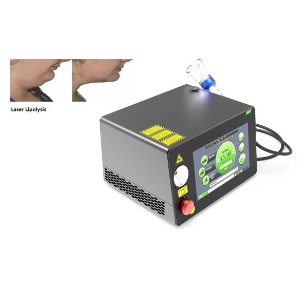 Buy Portable Laser Physiotherapy Machine Fat Removal 980nm 1470nm at wholesale prices