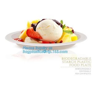 custom printed party plates disposable sugarcane bagasse plate Biodegradable