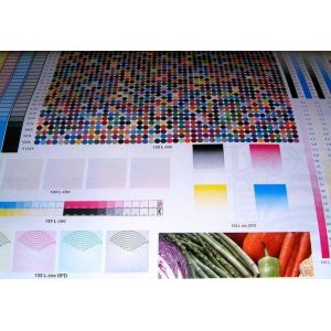 Automation Paper Cup Flexo Printing Machine High Registration Accuracy Flexo