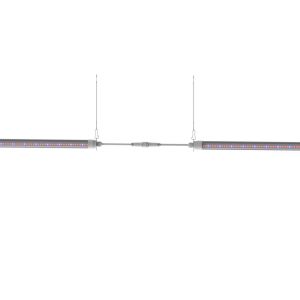 Cucumber LED Interlighting 80W High Output Supplemental Greenhouse Lighting