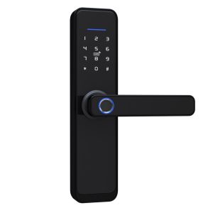 Zigbee Fingerprint Smart PadLock