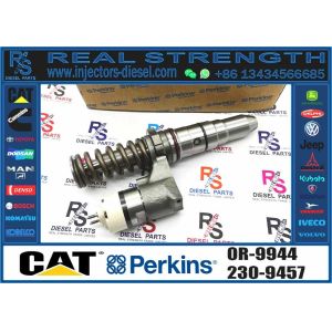 Excavator Parts 3116 Engine Injector 0R-8483 0R-3002 0R-8477 0R-3190 0R-8473 4P