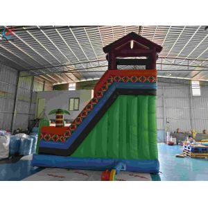 Inflatble Exotic Bouncy House With Internal Slide Combo Jumping Castle
