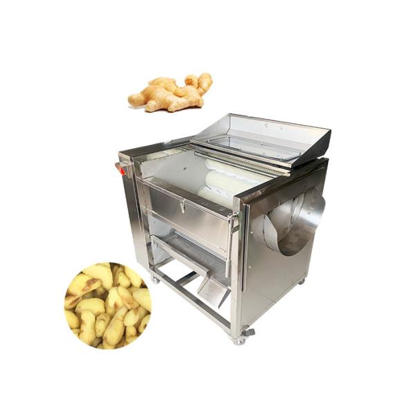 Buy 500KG/H Fruit And Vegetable Peeler Machine Ginger Potato Washer at wholesale prices