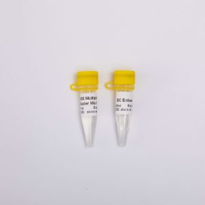 Quality 40 Reactions NGS Library Construction 2X Master Mixture For PCR for sale