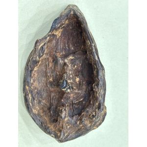 Fashionable Everyday Agarwood Pendant High Grade Lobster Claw / Hook Clasp