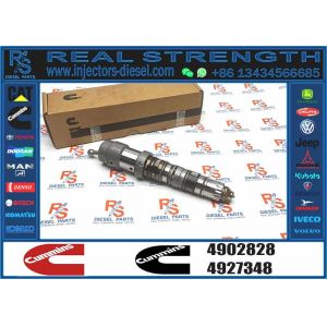 Quality High Quality New Common Fuel Injector 4902828 for Engine QSK23 Engine INJECT PUMP for sale