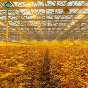 OEM Agriculture Green House Commercial Glass Greenhouse With Humidity Regulation