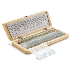 Professional 30pcs Human Tissue Microscope Slides For Medical Education