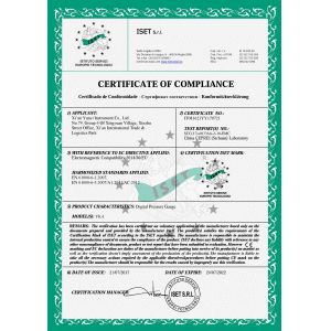 Differential Pressure Transmitter Differential Pressure Sensor With Digital