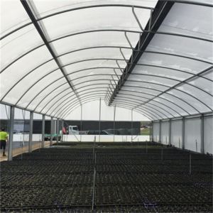Customized High Tunnel Polytunnel Double Film Greenhouse Sawtooth Tunnel Plastic