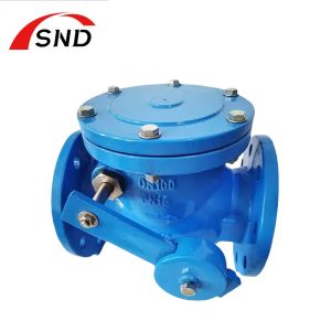 Flanged Cast Iron Swing Check Valve Customized For Liquefied Gas