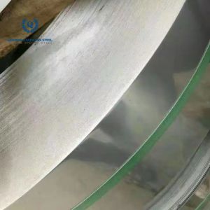Duplex Stainless Steel Coil Strip S32205 2205 2207 2.0*1500MM