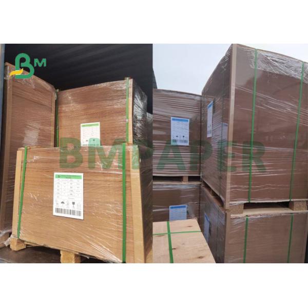 300gsm PE Coated Food grade Kraft board 