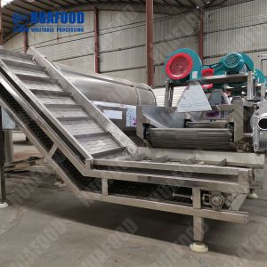 Industrial Fruit And Vegetable Processing Line Fruit Washing Machinery