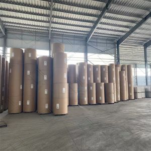 Professional Thin Printing Paper for Pharmaceutical Leaflets and Booklets,