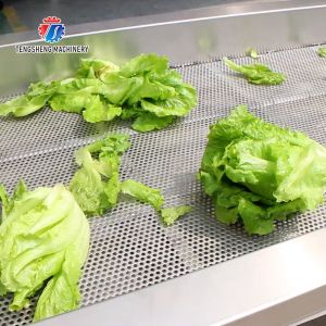 Stainless Steel Vegetable Processing Machine Vibration Draining Machine