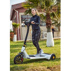 Length 1600mm 2 Wheel 11.3Ah Alu Alloy Electric Balance Scooter