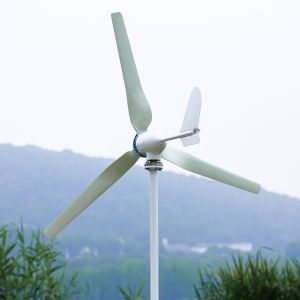 Home Use Wind Power System Spiral With Wind Solar Hybrid Controller