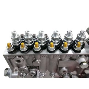 Direct 8.3 Cummins Injection Pump