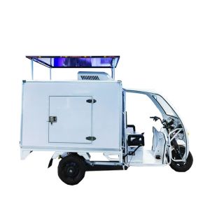 Electric Refrigerated Vehicle Small Wheels Tricycle Solar-Powered -18C Cold