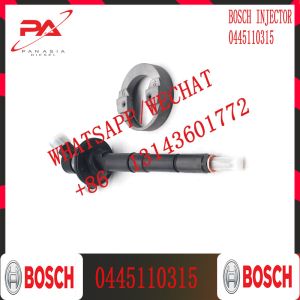 0445110168 Fuel Common Rail Injector Nozzles 0445110284 0445110315