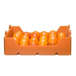 PPP Solution Fruit 4mm Fluted Pp Packaging Box
