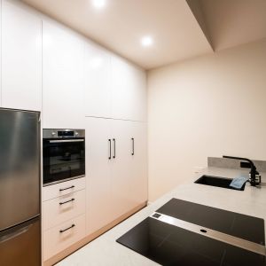 Hot Sale Kitchen Cabinet Modern Lacquer Plywood Kitchen Cabinet Design