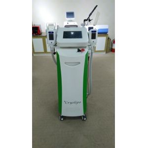Quality Cryolipolysis Cellulite Machine For Beauty Clinic &amp; Spa for sale
