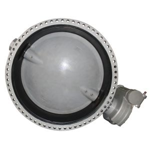 Bs Awwa Dn150 Flanged Soft Sealing Double Eccentric Flange Butterfly Valve