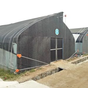 Tropical Climate Sawtooth Poly Tunnel Plastic Film Agricultural Greenhouse